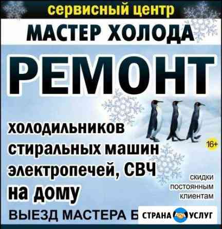 Ремонт холодильников и стиральных машин на дому Новокузнецк