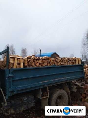 Дрова колотые Городец - изображение 1