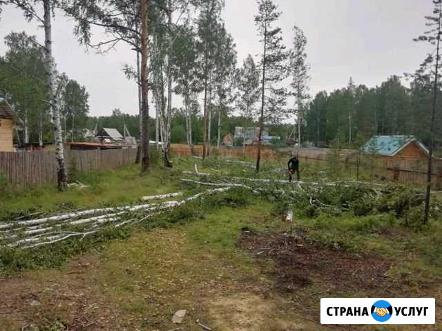 Расчистка участков Екатеринбург - изображение 1