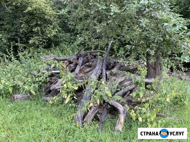 Дрова Землянск - изображение 1