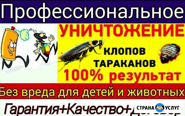 Дезинфекция помещений Феодосия - изображение 1
