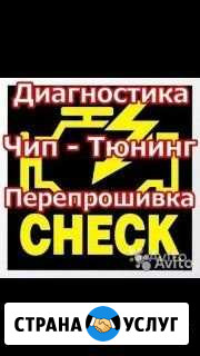 Чип-Тюнинг, Прошивка мозгов, перевод на евро-2 Новая Ляля - изображение 1