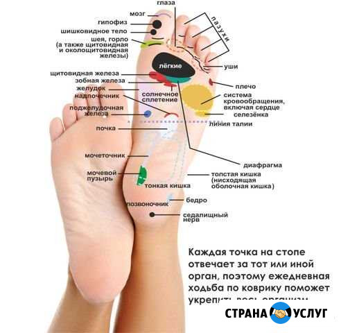 Массаж стоп для женщин /only Москва - изображение 1