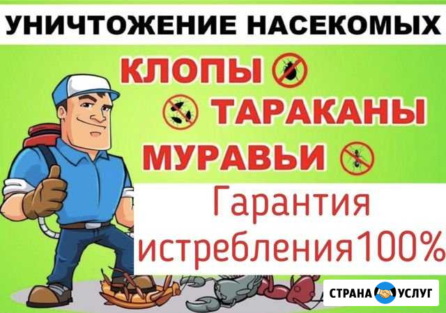 Уничтожение насекомых, дезинсекция, дезинфекция Стерлитамак - изображение 1