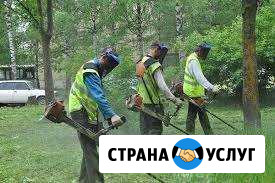 Спил деревьев покос травы Афипский - изображение 1