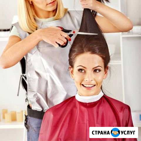 Стрижка Новосибирск - изображение 1