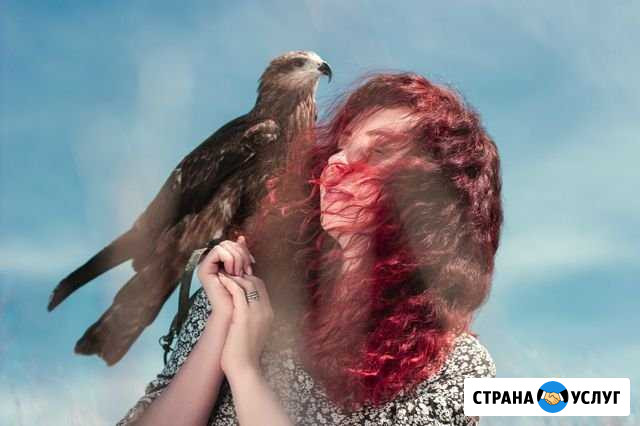 Фотограф(цена за фотосессию) Нижний Новгород - изображение 1