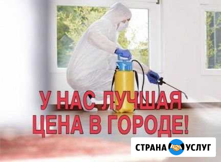 Дезинсекция Сочи - изображение 1