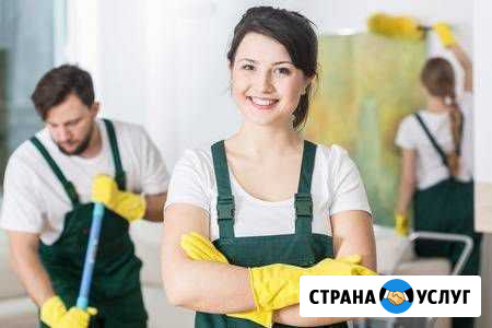 Химчистка ковров и мебели, мойка окон и лоджий Железногорск - изображение 1