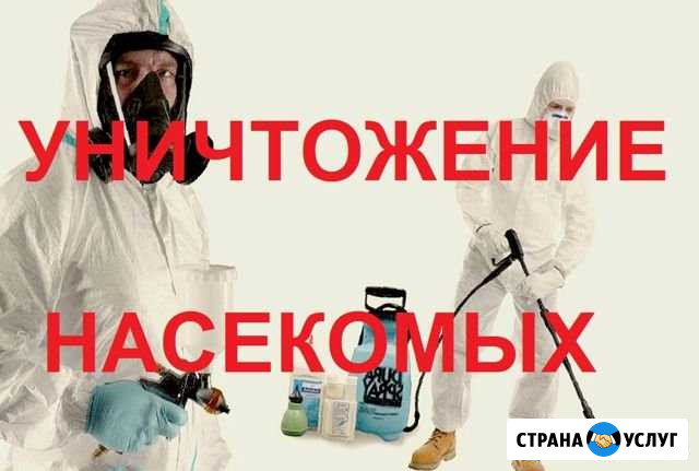 Уничтожение клопов, тараканов, блох, клещей Тула - изображение 1