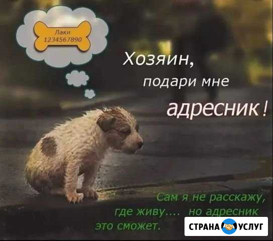 Адресник для животных Новотроицк - изображение 1