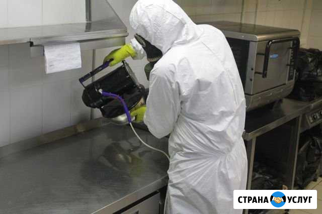Дезинфекция тараканов, клопов,грызунов,плесени Симферополь - изображение 1