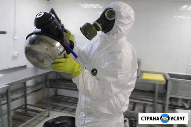 Дезинфекция, уничтожение насекомых Ялта - изображение 1