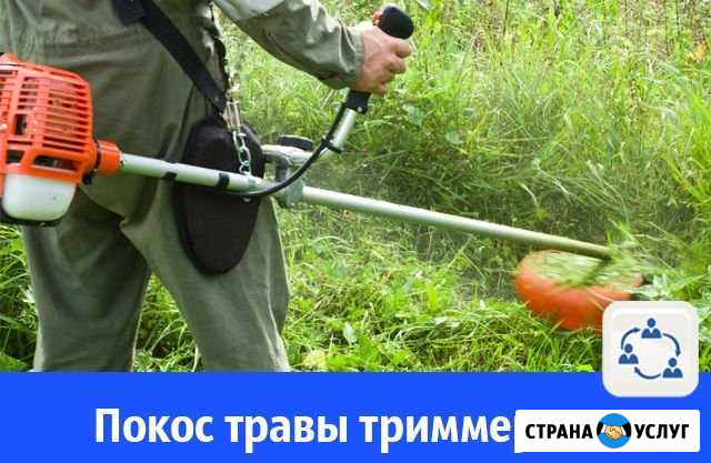 Покосить участок Калининград - изображение 1