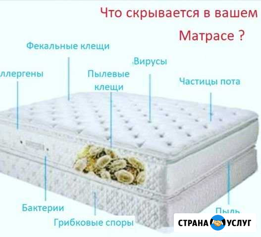 «Чистюля». Химчистка мягкой мебели Подольск - изображение 1