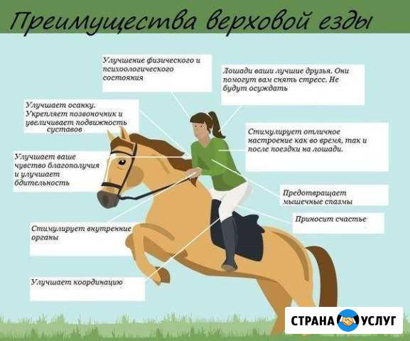 Конные прогулки, обучения и фотосессии Краснослободск - изображение 1