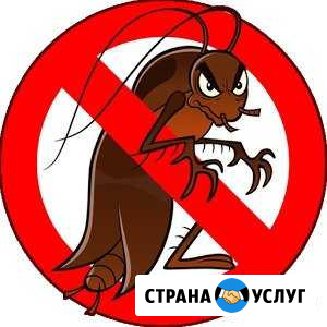 Дезинфекция Ухта - изображение 1