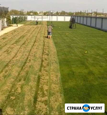 Удаление мха травы аэрация скарификация Газона Ярославль - изображение 1