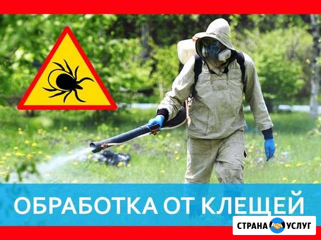 Обработка от клещей Иркутск - изображение 1