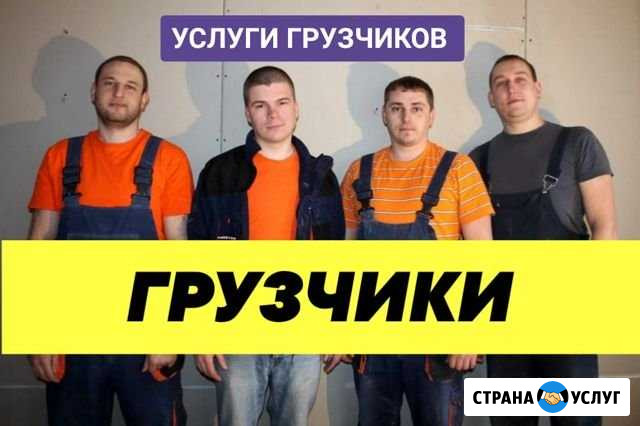 Грузчики Долгопрудный - изображение 1