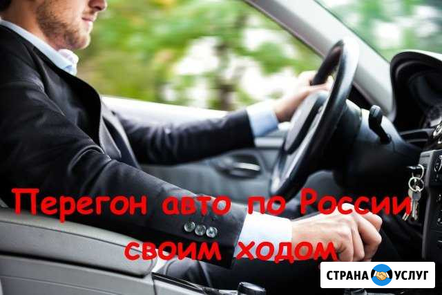 Перегон автотранспорта по России Сургут - изображение 1