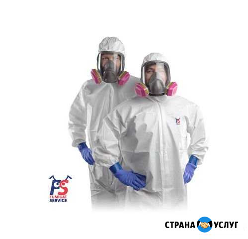 Уничтожение тараканов, клещей, вирусов с гарантией Михайловск - изображение 1