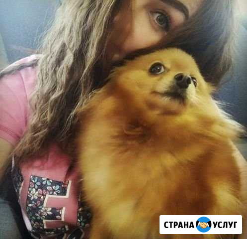 Передержка собак (хостел для питомца) Волгоград - изображение 1