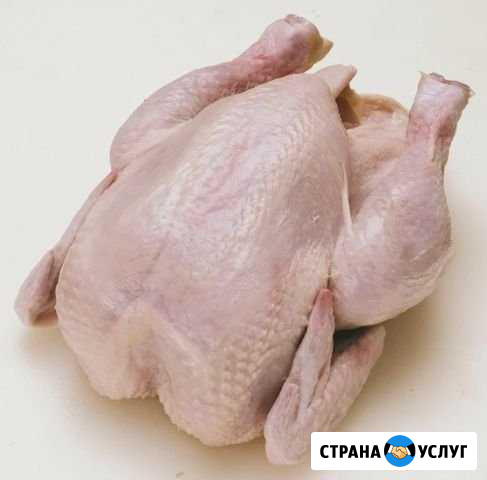 Тушки бройлеров Тихорецк - изображение 1