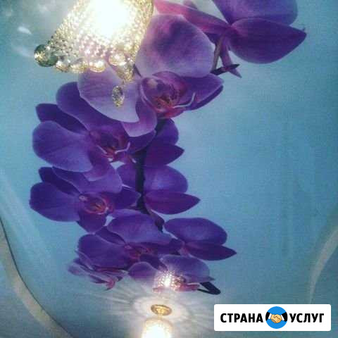 Натяжные потолки Будённовск - изображение 1