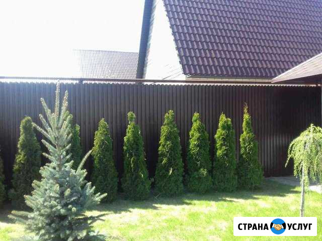 Заборы Тамбов - изображение 1