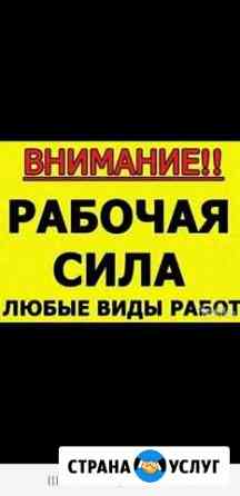 Разнорабочие,землекопы,демонтажные работы.Вывоз му Чебоксары