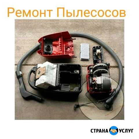 Ремонт Пылесосов Челябинск - изображение 1