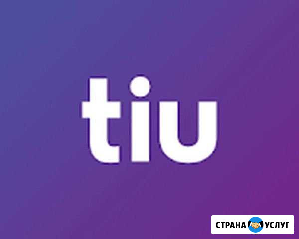 Настройка, заполнение и ведение сайта Tiu, deal, s Самара - изображение 1
