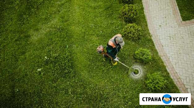 Покос травы/Спил Деревьев Светлый - изображение 1
