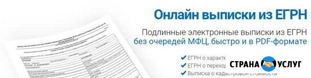 Выписка егрн Пугачев - изображение 1