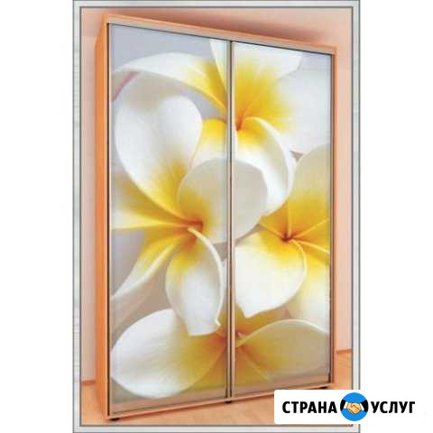 Шкаф-купе под заказ Симферополь - изображение 1