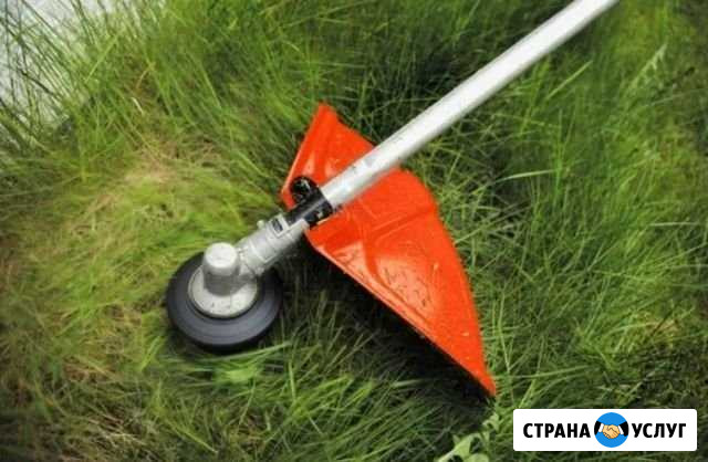 Скос травы. Спил деревьев Челябинск - изображение 1