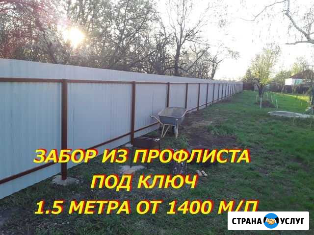 Забор под ключ из профлиста,евроштакетник,рабица Воронеж - изображение 1