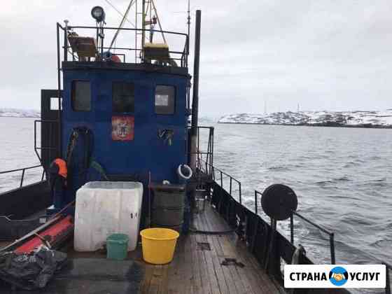 Рыбалка в Териберке Санкт-Петербург