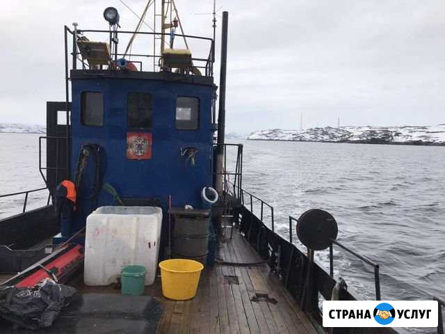 Рыбалка в Териберке Санкт-Петербург - изображение 1
