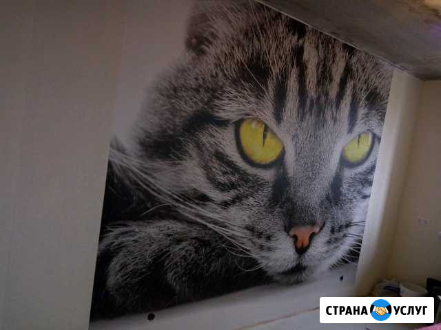 Поклейка обоев,укладка ламината,муж на час,и т/д Йошкар-Ола - изображение 1