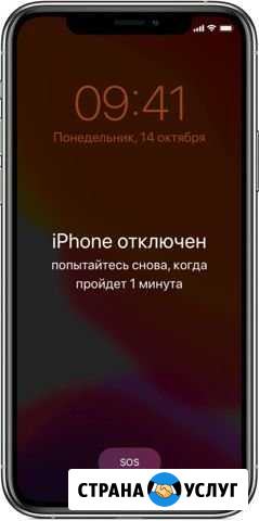 Разблокировка Apple ID(отвязка) Москва - изображение 1