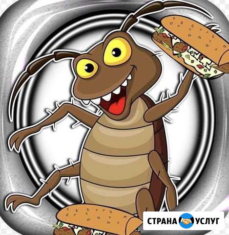 Санобработка, уничтожение насекомых Красный Яр - изображение 1