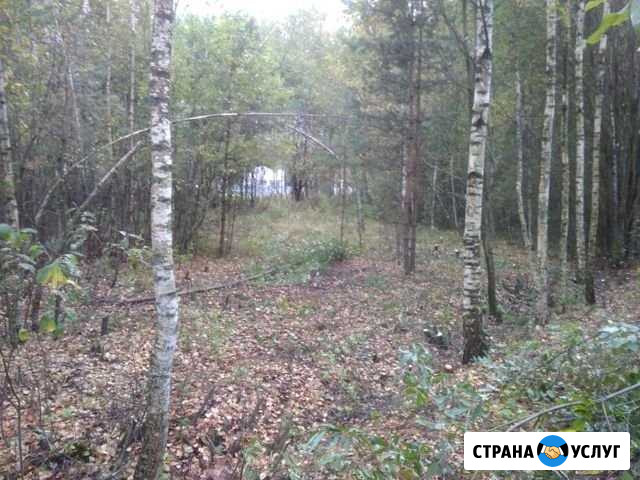 Опиловка и планировка участков, выкорчевка пней Егорьевск - изображение 1