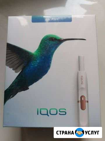 Ремонт Iqos Воронеж - изображение 1