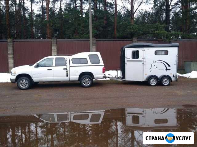 Коневоз, перевозка лошадей, коров и др. животных Сертолово - изображение 1