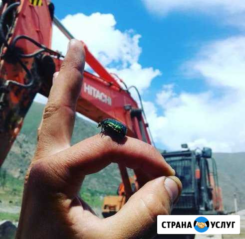 Аренда техники hitachi, hyundai Георгиевск - изображение 1