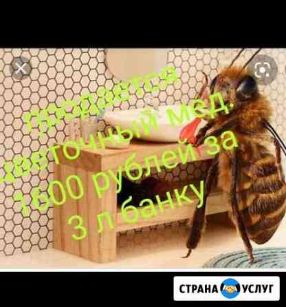 Продажа еды Казань