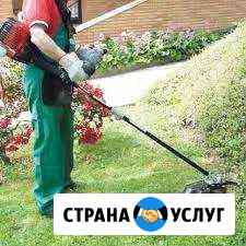 Покос травы, бурьяна, газонов триммером Альметьевск