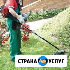 Покос травы, бурьяна, газонов триммером Альметьевск - изображение 1